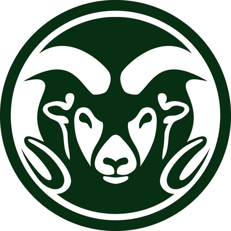 Student testimonial, Colorado State University