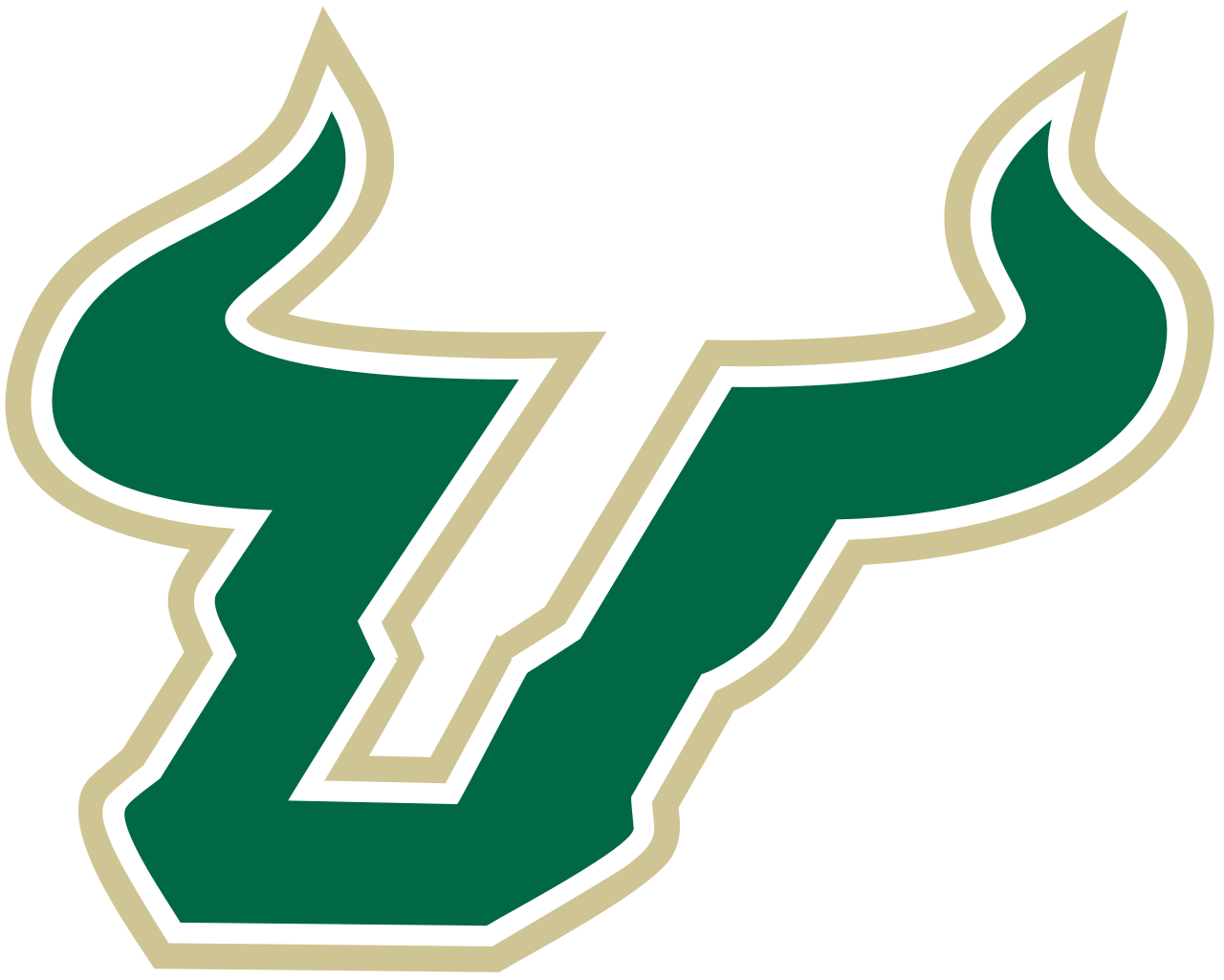 Study at University of South Florida in USA
